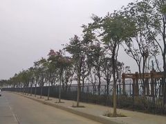 -兰剑驾校(汉阳校区)