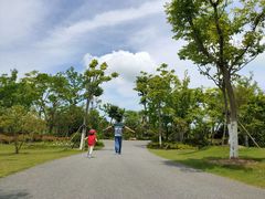 -上海长兴岛郊野公园