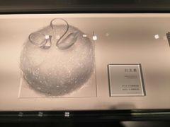 -BLACKSWAN黑天鹅(环球店)