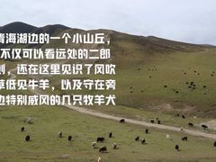 -青海湖国家重点风景名胜区