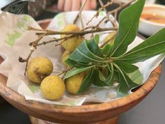 -季季山·云南野生菌火锅(上海首店)