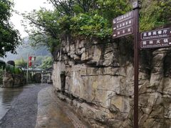 -老幺泉水鸡