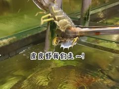 -ZF Seafood Restaurant 卓峰海鲜餐