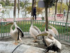 -水上乐园·欢乐世界