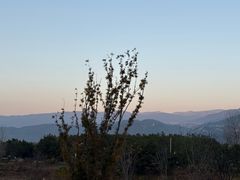 -邛海景风火盆烧烤(大石板古村二分店)