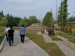 -前小桔亲子创意农场·草莓采摘·露营烧烤
