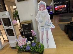 -Sony Store 索尼(来福士店)