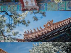 -故宫博物院(故宫)