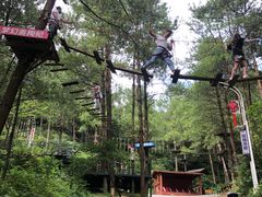 -梦幻奥陶纪景区