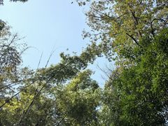 -成都杜甫草堂博物馆