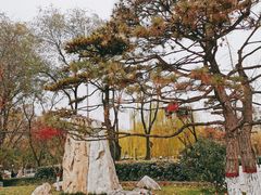 -莲湖公园