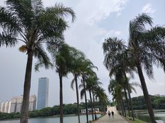 -南宁南湖公园