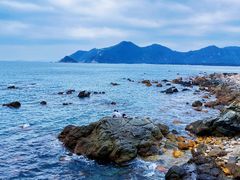 -西涌国际滨海旅游区