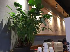 -渝是乎川渝小炒(新世界百货望京店)