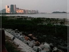 -海沧湾公园