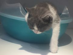 -龟与熊猫宠物公园(南坪店)