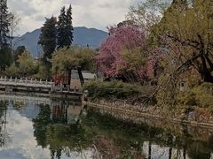 -黑龙潭公园