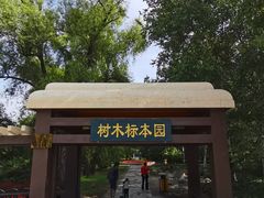 -黑龙江省森林植物园