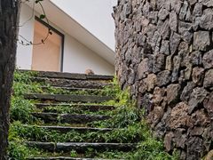 -原乡芦茨咖啡