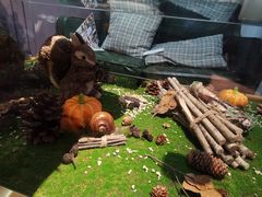 -初拾·花里餐厅(钜城华亿店)