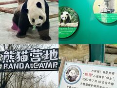 -临沂动植物园