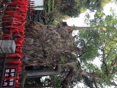 iphone_upload_pic-台州府城(江南长城)