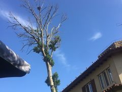 -芭东小镇温泉
