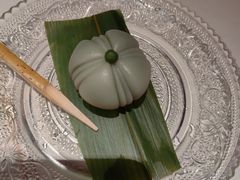 -觀芷隐轩