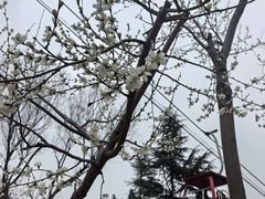 -山东大学学府大酒店(千佛山地铁站店)