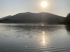 -长广溪湿地公园