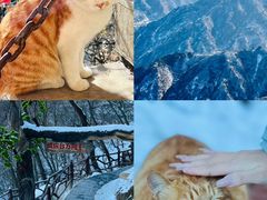 -终南山南五台景区