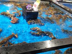 -盒马鲜生(和谐广场店)