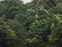 景点-湖泉半山温泉