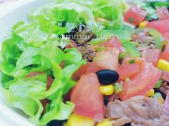-油梨树 AVOCADO TREE(亮马桥店)