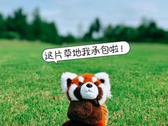 -上海辰山植物园