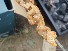 -黄河故道国家森林公园