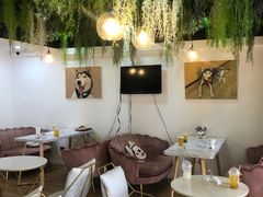 -Husky Go! 哈士奇体验馆·宠物咖啡厅狗咖