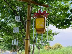 -长田漾湿地公园