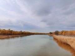 -西青郊野公园