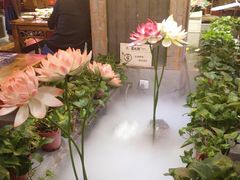 -蜀大侠火锅(国际购物店)
