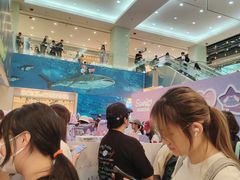 -海港城