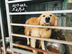 -嘉北郊野公园