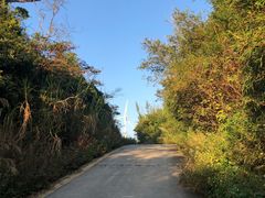 -东澳岛