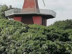 -东莞植物园