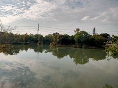 -梁鸿国家湿地公园