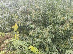 -长春公园(普阳街道)