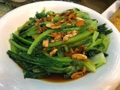 特色捞起油麦菜-海宝酒家(中山四路店)