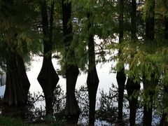 -华南国家植物园-售票处