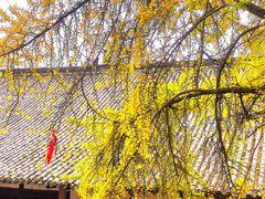 -金堂县云顶石城风景区