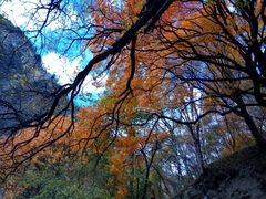 -叠溪松坪沟景区